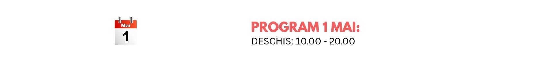Sarbatori Program