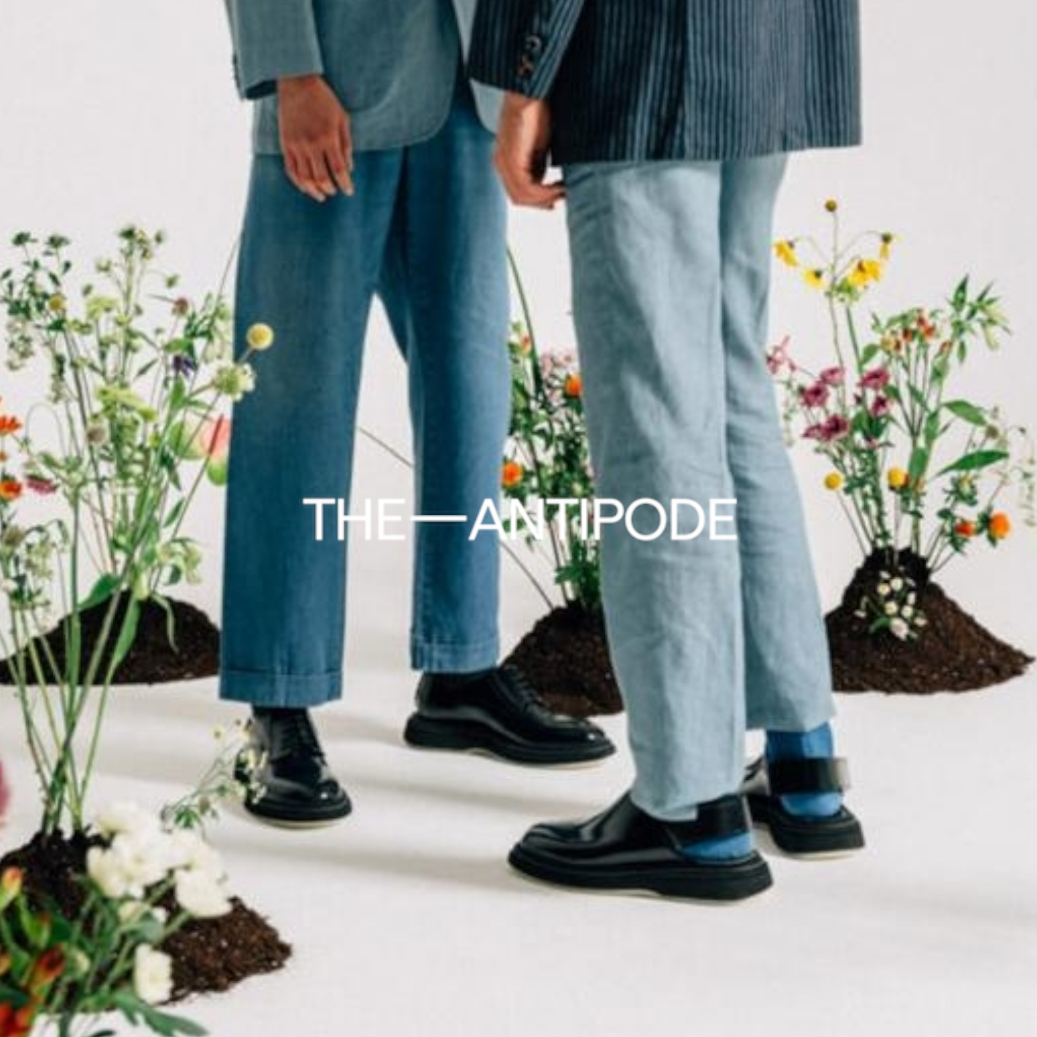 The Antipode