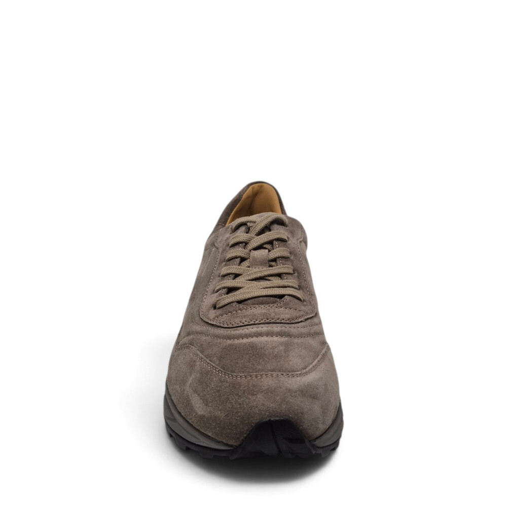 Sneakers Shark S10 taupe 202