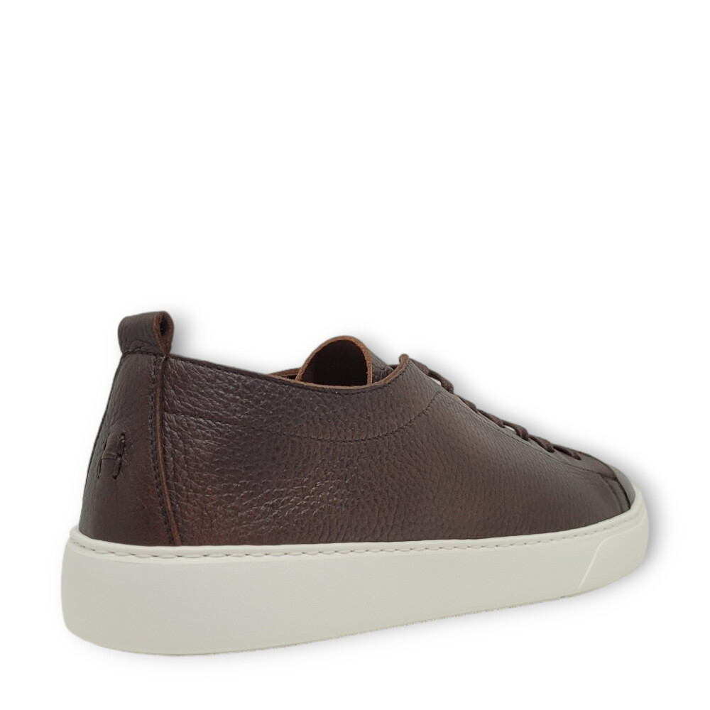 Sneakers Chronos maro