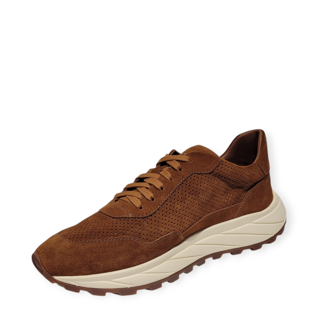 Sneakers Sirio maro 105