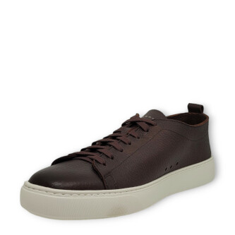Sneakers Chronos maro